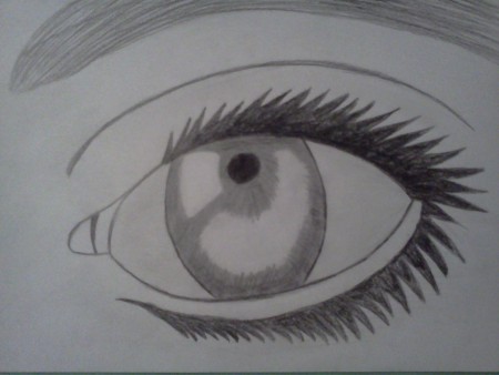 Eye